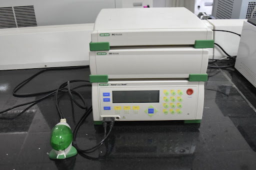 Electroporation system