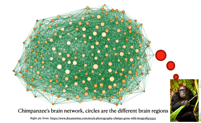 Complex Networks and dynamics (Dr. Aradhana Singh)