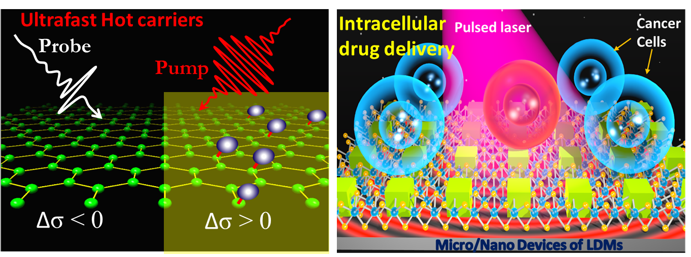 Ultrafast Spectroscopy and Applications Group (Dr. Srabani Kar)